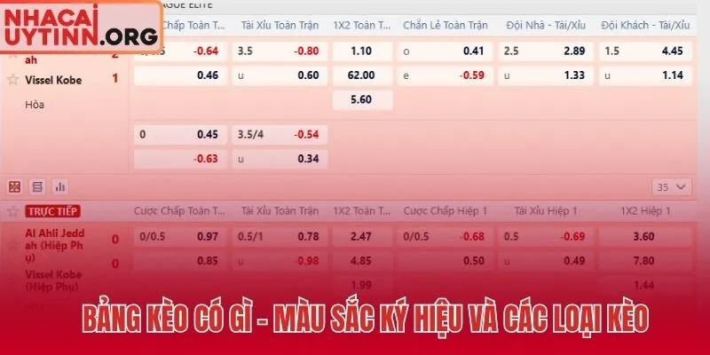 Cách đọc kèo bóng đá qua màu sắc ký hiệu và ba loại cược