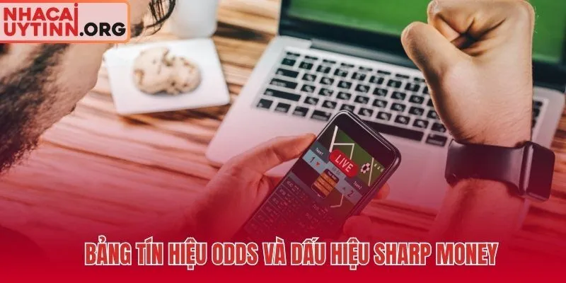Kèo lụa nhận diện qua tín hiệu sharp money và biến động odds đa sàn