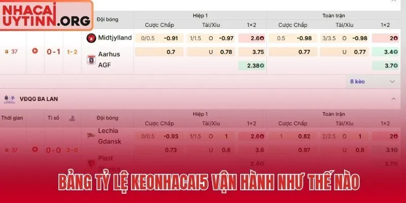 Giải mã kèo nhà cái 5 qua cuộc đối thoại ngầm dòng tiền