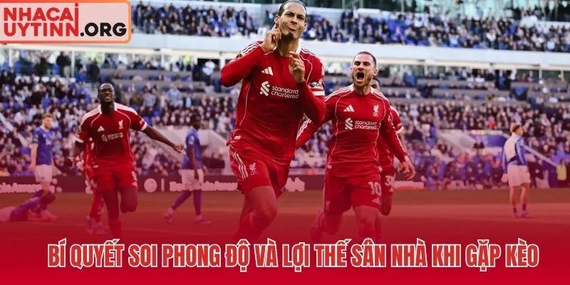 Phong độ và sân nhà - hai tiêu chí soi kèo đồng banh chuẩn xác