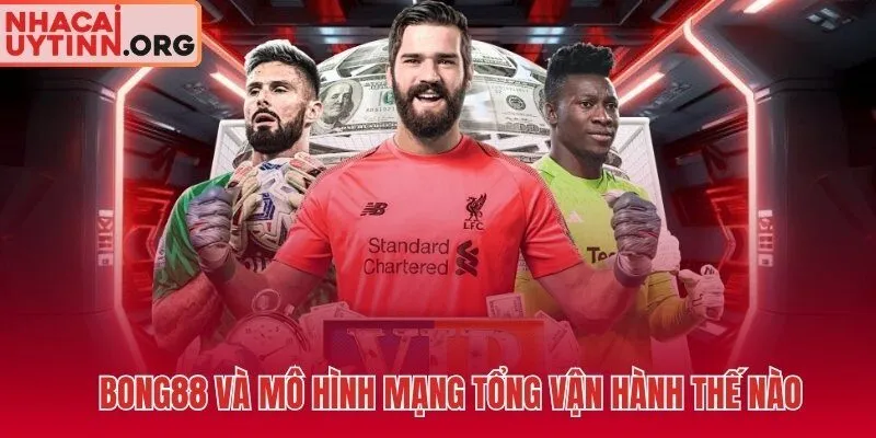 BONG88 mạng tổng chuỗi phân cấp nhiều tầng trung gian