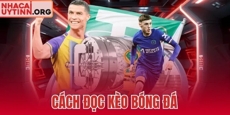 Cách Đọc Kèo Bóng Đá
