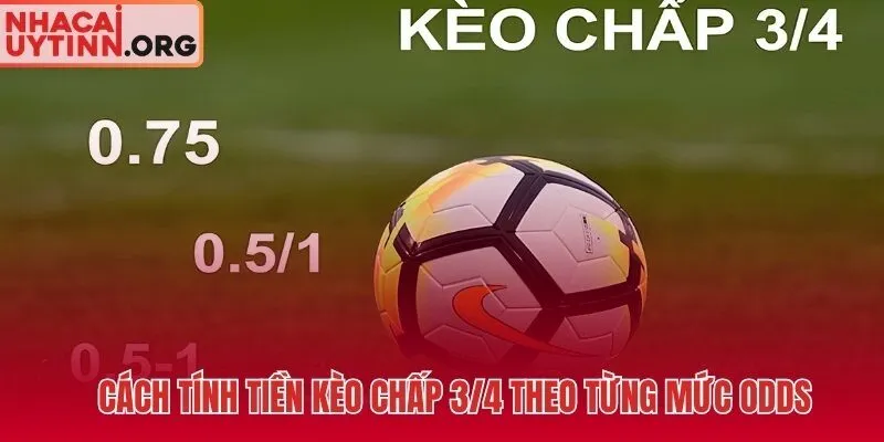Công thức tính tiền kèo chấp 3/4 cho mọi mức odds