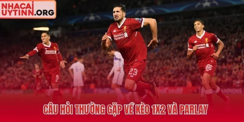 Giải đáp trực tiếp các thắc mắc phổ biến về kèo 1X2 Parlay