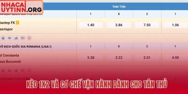 Kèo 1X2 ba cửa đơn giản dành cho tân thủ bắt đầu