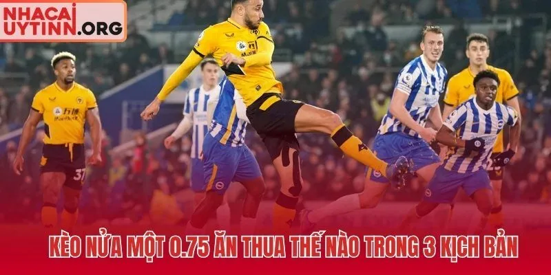 Kèo chấp 3/4 và ba kịch bản tài chính quyết định