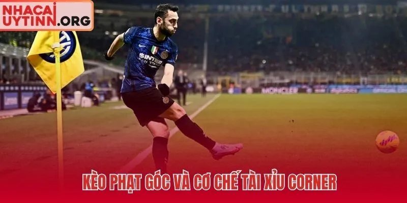 Kèo phạt góc Tài Xỉu Corner - thắng cược không phụ thuộc tỷ số