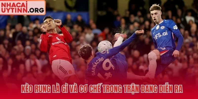 Kèo rung live - thị trường tỷ lệ di chuyển theo từng giây