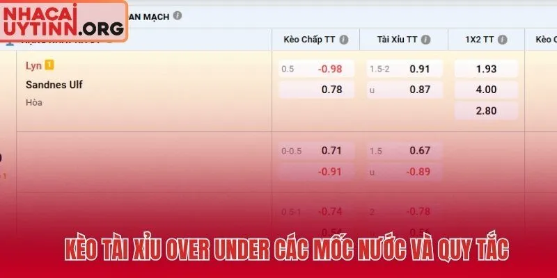 Cách đọc cược 1X2 và Tài Xỉu không cần tính chấp