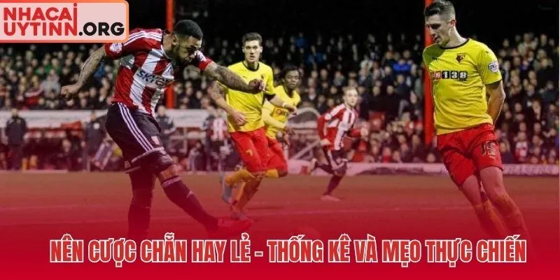 Thống kê Odd 55% và mẹo chọn kèo chẵn lẻ bóng đá