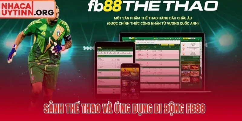 Margin handicap thực đo và tốc độ live bet trên app FB88